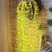 Lights